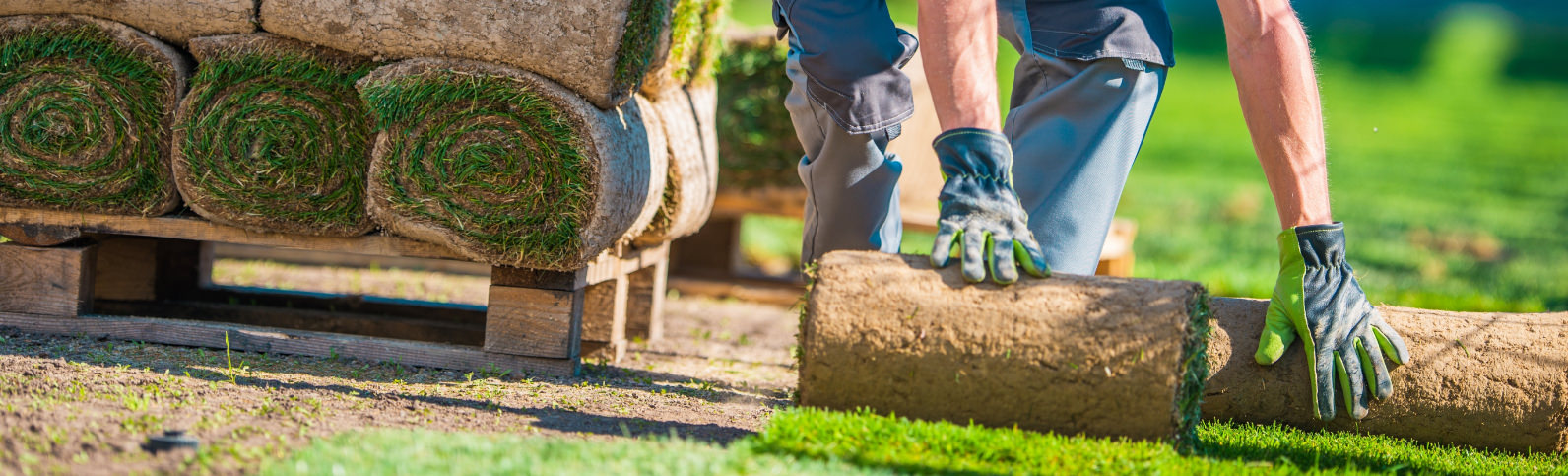 Facilities and ground management